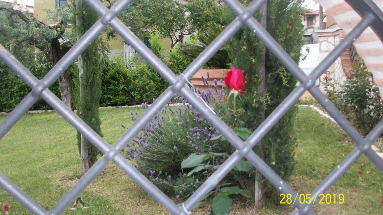 Il Giardino Degli Ulivi Bed & Breakfast Canneto  Bagian luar foto