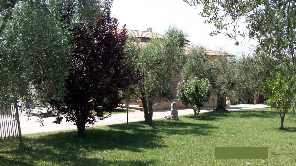 Il Giardino Degli Ulivi Bed & Breakfast Canneto  Bagian luar foto