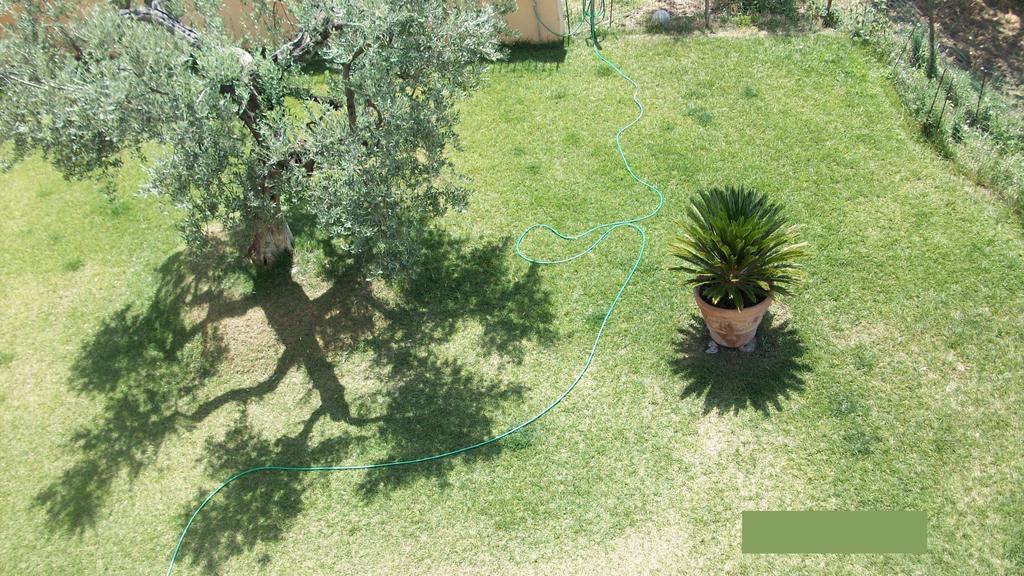 Il Giardino Degli Ulivi Bed & Breakfast Canneto  Bagian luar foto